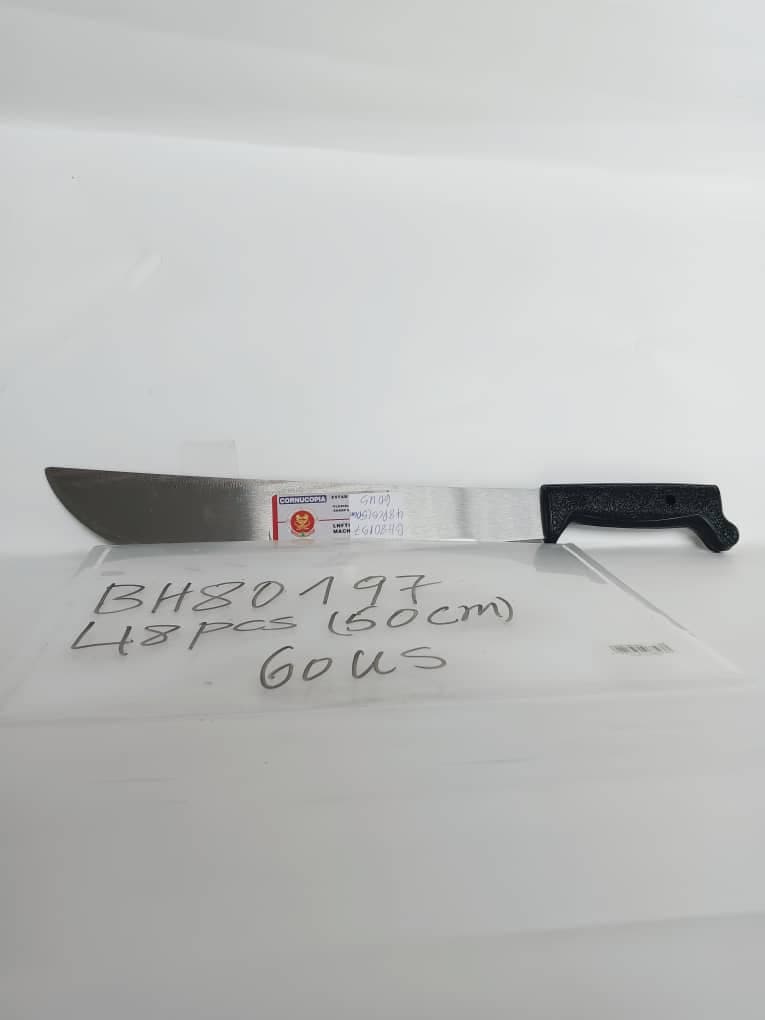 BH80197