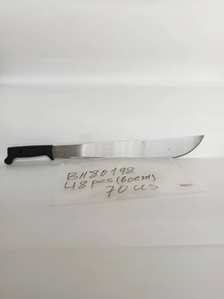 BH80198